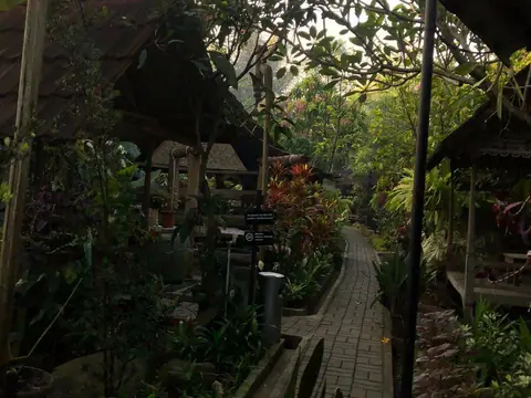 Jalan setapak paving di antara tanaman tropis