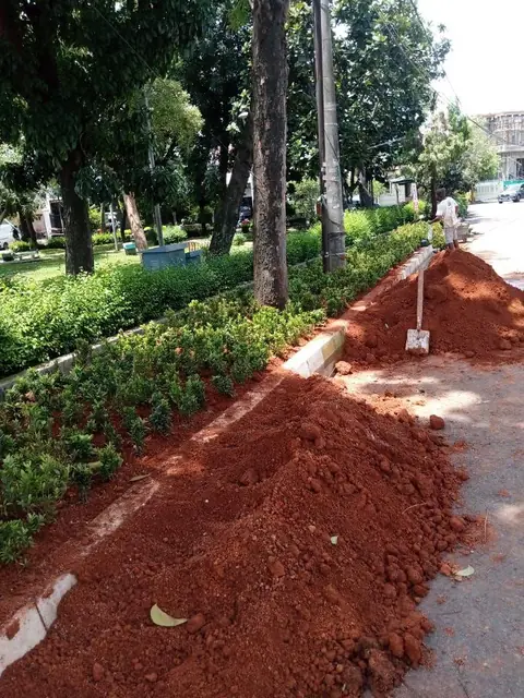 Tumpukan tanah merah di tepi jalan setapak, dengan tanaman rapi di sebelahnya dan sekop menancap di tanah