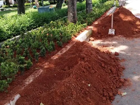 Tanah merah dan tanaman di tepi jalan setapak yang sedang ditata