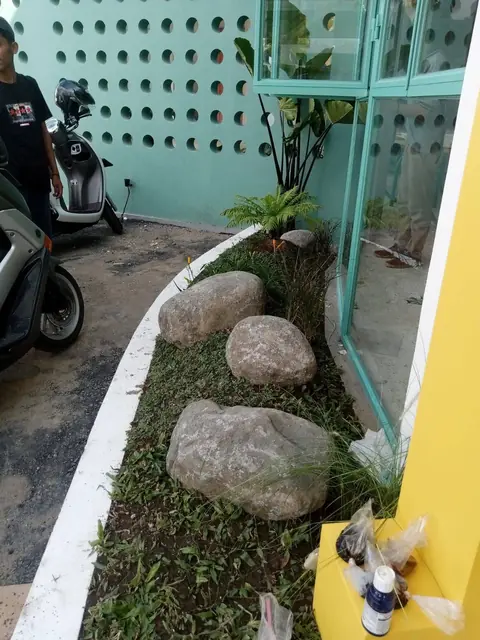 Batu-batu besar di antara tanaman, di samping dinding hijau muda