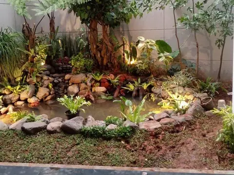 Kolam kecil dengan batu dan tanaman di sudut taman
